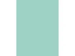 d-c-fix Selbstklebefolie Uni Lack mint 45cm x 2m