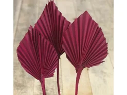 Outlet Deko-Pflanze Palm Spear Burgund