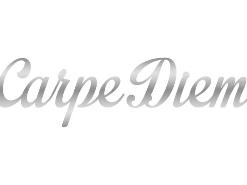 Pro Art Dekoschriftzug Carpe Diem 70 cm x 25 cm