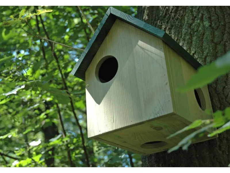 Dobar Eichhörnchenkobel mit 3 Eingängen Kiefer Grün 25 cm x 26 cm x 28,5 cm