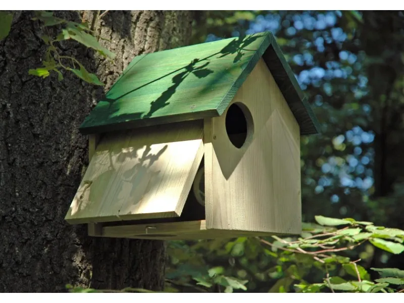 Dobar Eichhörnchenkobel mit 3 Eingängen Kiefer Grün 25 cm x 26 cm x 28,5 cm