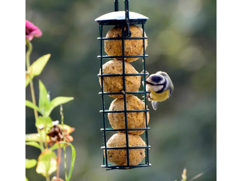 New Dobar Futterspender mit 4 Meisenknödeln für Wildvögel 7 cm x 7 cm x 20 cm Grün