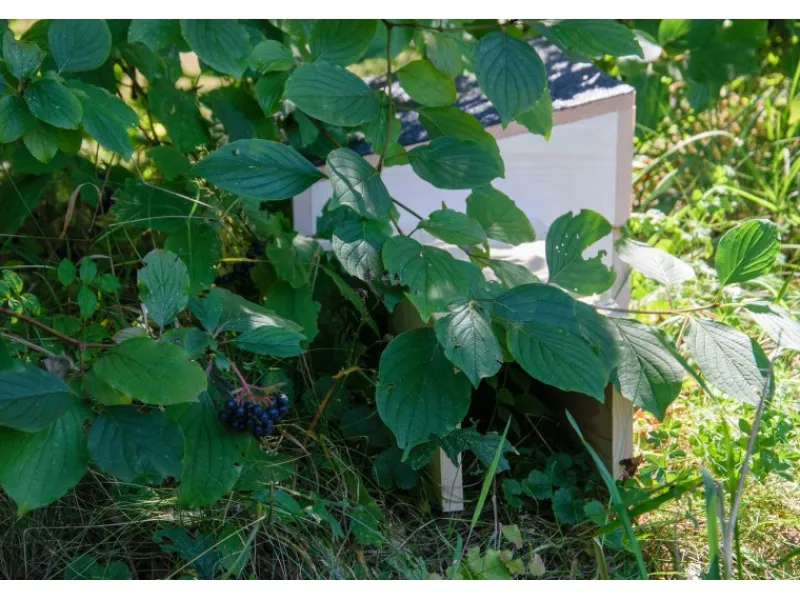 Outlet Dobar Igelhaus Bausatz 74,5 x 29 x 24 cm Schwarz FSC®