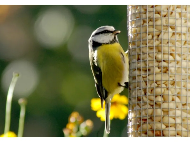 New Dobar Metallgitter-Futtersäule für Vögel 9,5 cm x 9,5 cm x 39 cm Silber