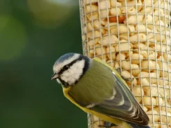 New Dobar Metallgitter-Futtersäule für Vögel 9,5 cm x 9,5 cm x 39 cm Silber