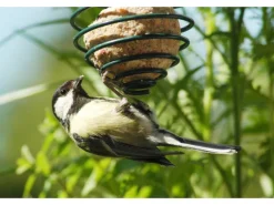 Dobar Vogelfutterfeder