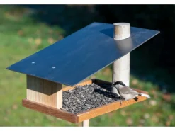 Clearance Dobar Vogelfutterhaus Futura mit Futterstation für Wildvögel 24 cm x 22 cm Holz