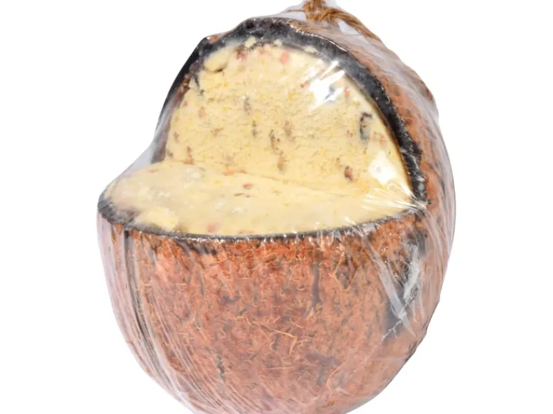 Online Dobar Vogelfutter-Mix 4 x gefüllte Kokosnuss und 2 x Riesenzapfen mit Fettfutter