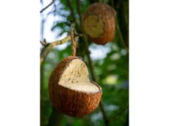 Online Dobar Vogelfutter-Mix 4 x gefüllte Kokosnuss und 2 x Riesenzapfen mit Fettfutter