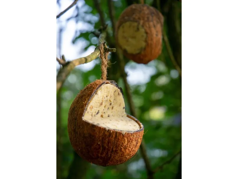 Online Dobar Vogelfutter-Mix 4 x gefüllte Kokosnuss und 2 x Riesenzapfen mit Fettfutter