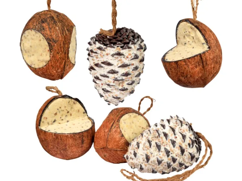 Online Dobar Vogelfutter-Mix 4 x gefüllte Kokosnuss und 2 x Riesenzapfen mit Fettfutter