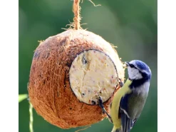 Online Dobar Vogelfutter-Mix 4 x gefüllte Kokosnuss und 2 x Riesenzapfen mit Fettfutter