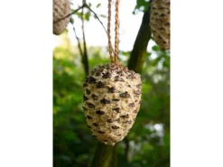 Best Dobar Vogelfutter-Mix 4 x Riesenzapfen, 4 x Meisenzapfen mit Fettfutter-Füllung