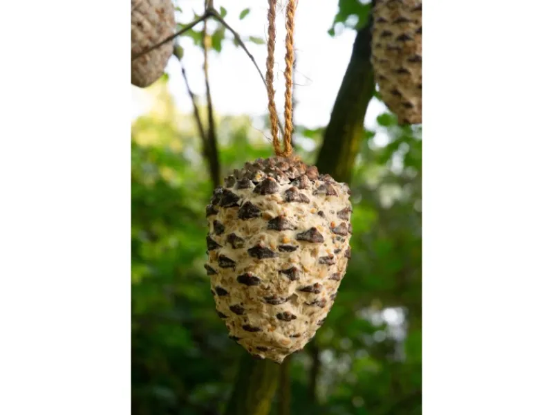Best Dobar Vogelfutter-Mix 4 x Riesenzapfen, 4 x Meisenzapfen mit Fettfutter-Füllung