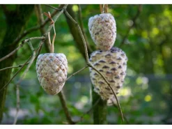 Best Dobar Vogelfutter-Mix 4 x Riesenzapfen, 4 x Meisenzapfen mit Fettfutter-Füllung