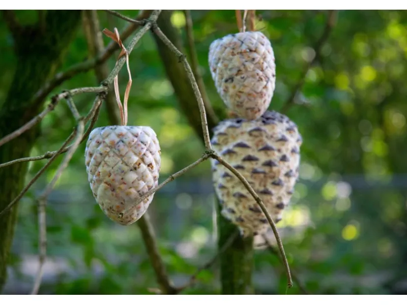 Best Dobar Vogelfutter-Mix 4 x Riesenzapfen, 4 x Meisenzapfen mit Fettfutter-Füllung