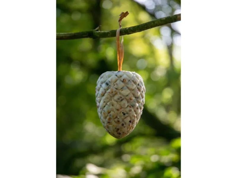 Best Dobar Vogelfutter-Mix 4 x Riesenzapfen, 4 x Meisenzapfen mit Fettfutter-Füllung