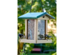 Dobar Vogelfutterstation mit Acrylglas-Futtersilo 22 cm x 25 cm x 28 cm Grün