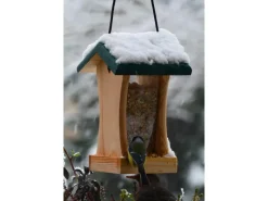 Hot Dobar Vogelfutterstation mit Acrylglas-Futtersilo 16 cm x 16 cm x 24 cm Grün