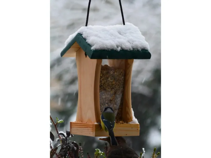 Hot Dobar Vogelfutterstation mit Acrylglas-Futtersilo 16 cm x 16 cm x 24 cm Grün