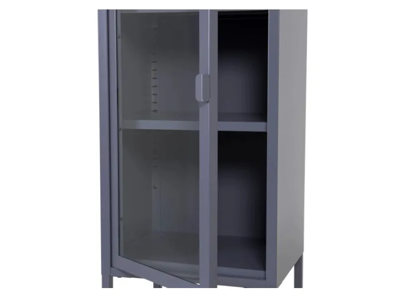 ebuy24 Misha Vitrinenschrank 1 Tür 4 Ablagen Grau