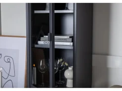 ebuy24 Misha Vitrinenschrank 1 Tür 4 Ablagen Grau