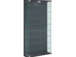 Online ebuy24 RelasL Vitrinenschrank Wandhängend 2 Türen Anthrazit