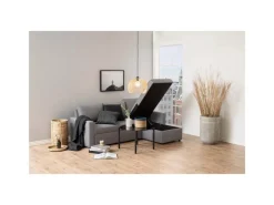 Online ebuy24 Sander Schlafsofa mit Ottomane Aufbewahrung und Auszug Hellgrau