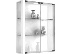 ebuy24 Udina Vitrinenschrank Wandhängend mit 2 Glastüren 2 Glasböden Weiß
