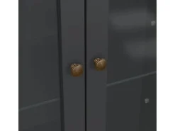 ebuy24 Venedig Vitrinenschrank 2 Glastüren und 2 Schubladen Matt Grau