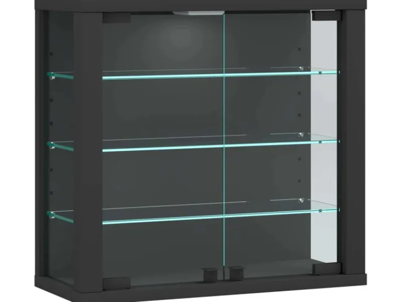 ebuy24 VitrosaS Vitrinenschrank Wandhängend 2 Glastüren Anthrazit