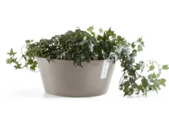 Sale Ecopot s Pflanzschale Frankfurt 30 cm Braungrau