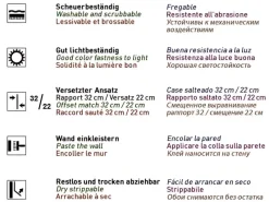 EDEM 80307BR70 1 Kart 4 Rollen Xxl Stabile überstreichbare Vlies-Tapete 1 Karton mit 4 Rollen 106 m2 Weiß