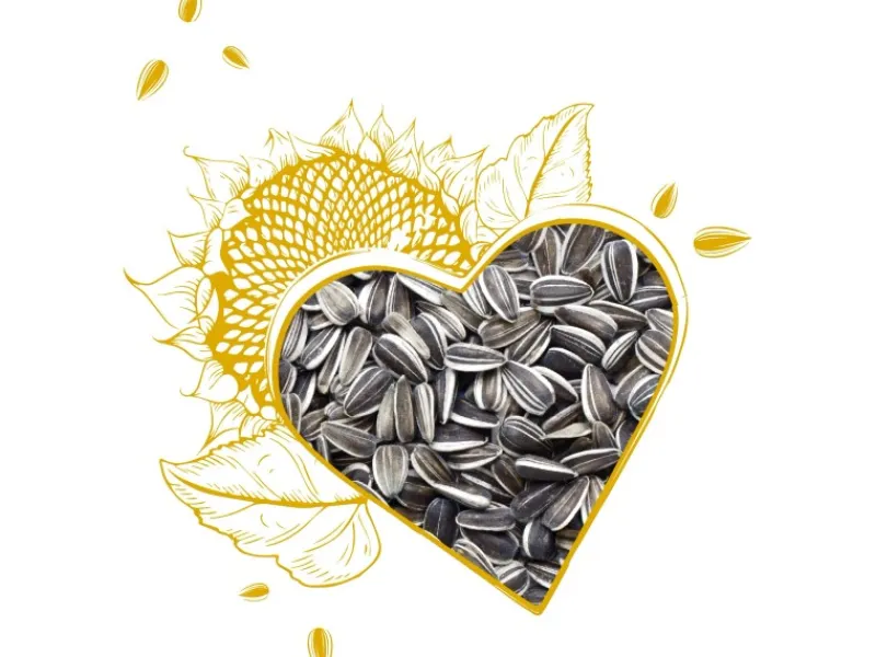 elles Sonnenblumenkerne 2,5 kg