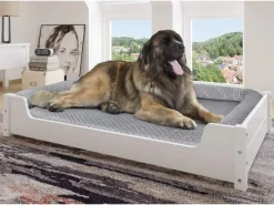 Erst-Holz Hundesofa XXL für Dogge Bernhardiner Tierbett 120 x 70 cm Kiefer Weiß Rollrost inkl.