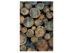 Online ESTAhome Fototapete Baumstämme Braun 186 cm x 279 cm 158206