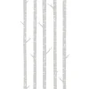 ESTAhome Fototapete Birkenstämme Grau 150 x 279 cm 158924