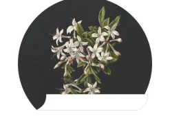 Discount ESTAhome Selbstklebende Runde Tapete Blüte Hellrosa und Schwarz Ø 70 cm 158992