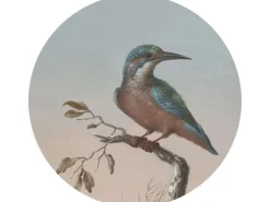 Discount ESTAhome Selbstklebende Runde Tapete Eisvogel Auf Zweig Abendrot Ø 70 cm 158993