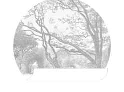 Clearance ESTAhome Selbstklebende Runde Tapete Wald Mit Waldtieren Grau Ø 70 cm 159070