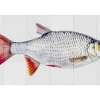 Hot ESTAhome Wandtattoo Fisch Grau und Rot 97 x 48,5 cm 159029