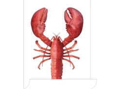 ESTAhome Wandtattoo Hummer Rot 70 x 46,5 cm 159045