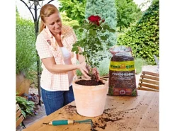 Floragard Pinienrinde fein 2 - 8 mm 20 l