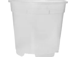 Best Florus Orchideentopf Ø 12 cm Transparent