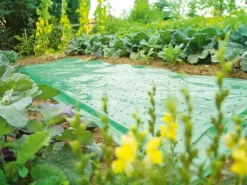 Frühbeetfolie 10 m x 1,5 m