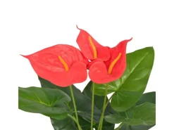 Outlet furnicato Künstliche Flamingoblume mit Topf 45 cm Rot und Gelb