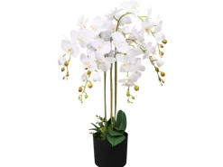 furnicato Künstliche Orchidee mit Topf 75 cm Weiß