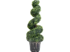 furnicato Künstlicher Buchsbaum mit Topf Spiralform Grün 100 cm