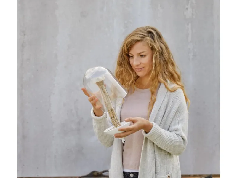 Gardena Vogelfutterstation ClickUp!