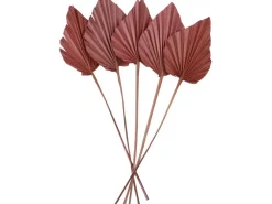 Clearance Getrocknetes Palmenblatt Ancient Secrets 5-tlg. 12-13 cm x 45-50 cm Terrakotta